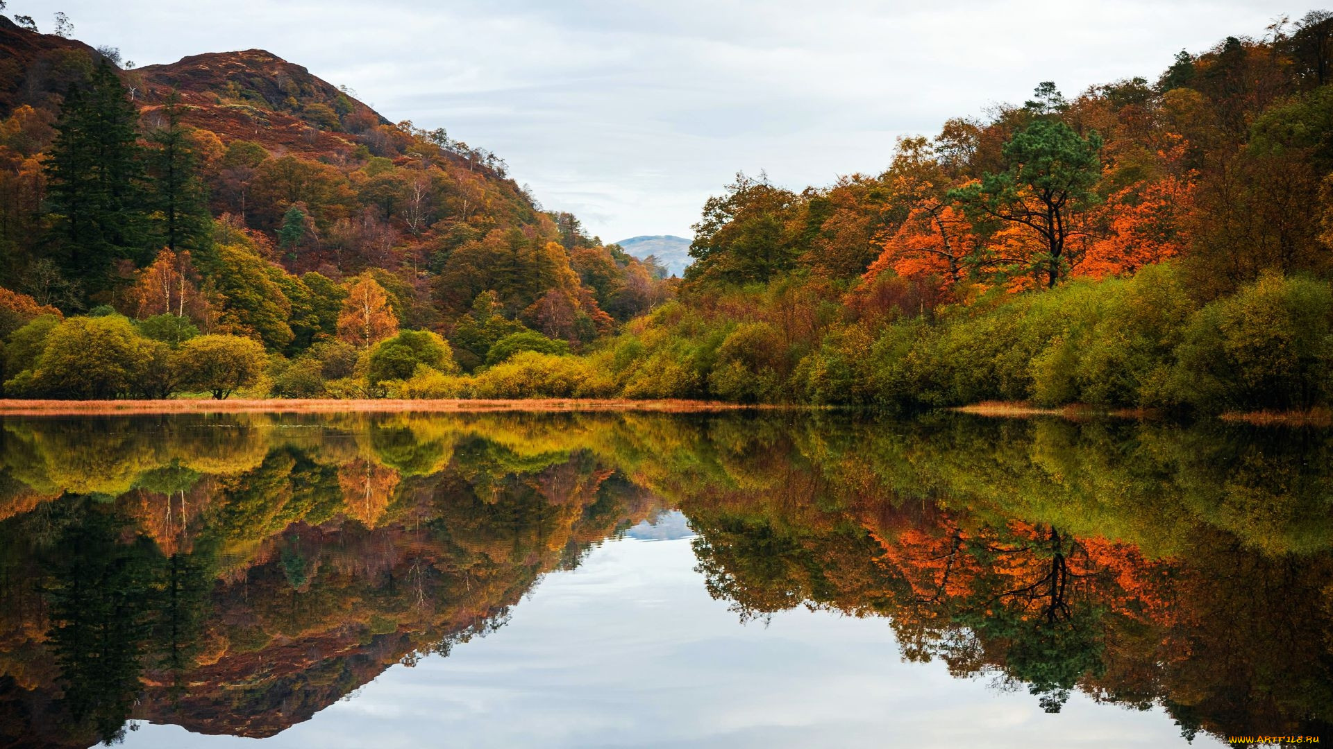 yew tree tarn, lake district, uk, , , , yew, tree, tarn, lake, district